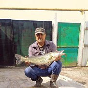 ����� ��������, 53 ����, �������