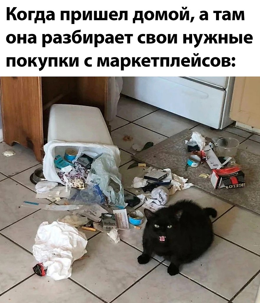  - 26  2025  13:00