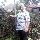  , --, 65  -  17  2025    