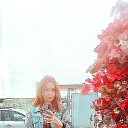 ���� ������, ������, 55 ��� - ��������� 13 ��� 2026 � ������ ������ ��������