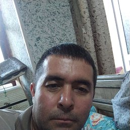 , 41, 