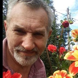 ��������, ������, 68 ���