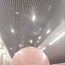 ���� �������, ������, 51 ��� - ��������� 6 ������� 2025 � ������ ���� ����������
