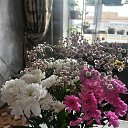 ���� ����, ������, 41 ��� - ��������� 22 ������� 2026 � ������ ���� ����������