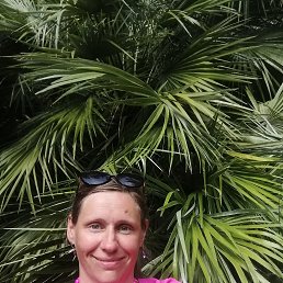 , 38, 