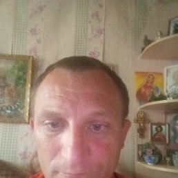 , 41, 