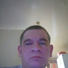 , 37, 