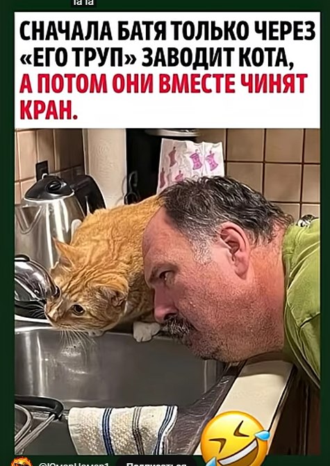 �������� �� ����� ����. - 24 ����� 2026 � 16:16