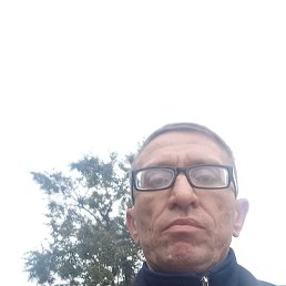   , -, 43  -  30  2024