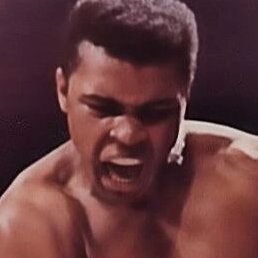 �����, ������, 23 ����