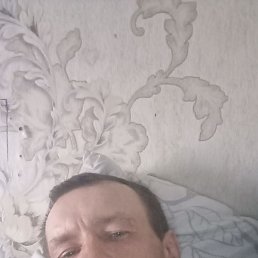 ������, ������, 51 ���