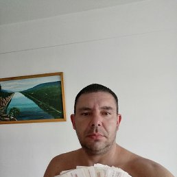 , 44, 