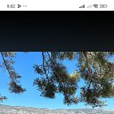 ���� ������, ������, 50 ��� - ��������� 23 ������� 2026