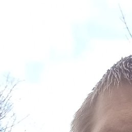 ������, ������, 37 ���