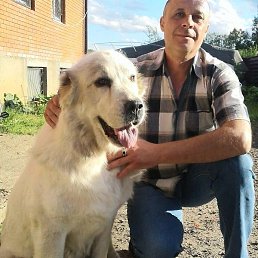 ���������, ������, 58 ���