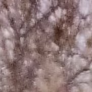 �������, 46 ���, �����