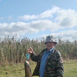 , 55, 