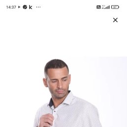 , 37, 
