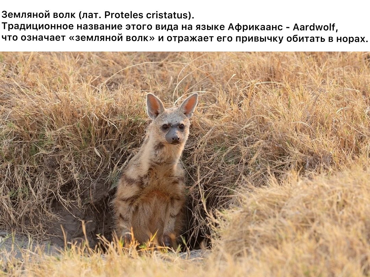 eo o pae  ceec eo. ee e opoae p o pa o. ...