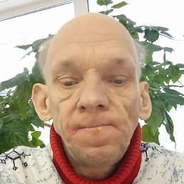 �������, �����-���������, 46 ���