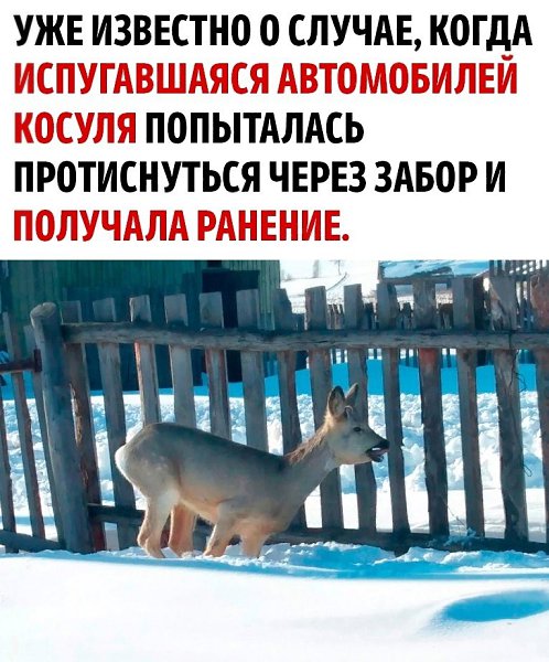      - 4