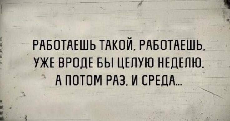 ☆ ☆ - 10  2024  16:14