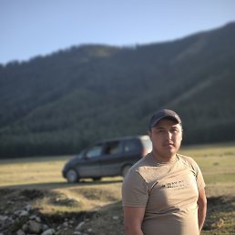 , 29, 