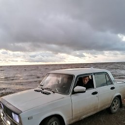 ����, �����-���������, 36 ���