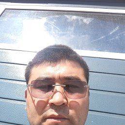 ����, 41 ���, ���������