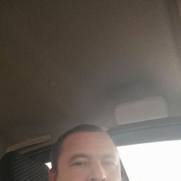 ������, 40 ���, �������