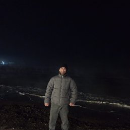 ���� ����, ���, 41 ��� - ��������� 12 ������ 2026