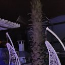 ���� �������, ����������, 54 ���� - ��������� 3 ������� 2025 � ������ ���� ����������