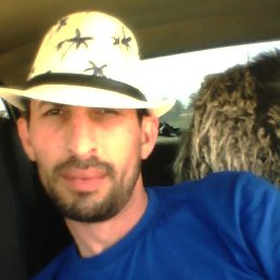 , 41, 