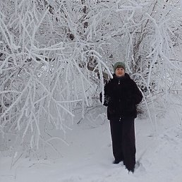 ���� ������, �������, 67 ��� - ��������� 29 ����� 2026