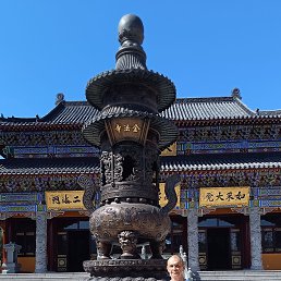 , 61, 