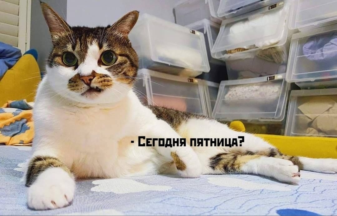       - 12  2025  17:40