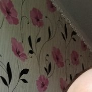 , 37 , 