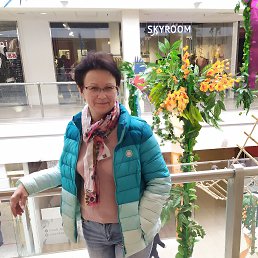 ���� �����, ������, 54 ���� - ��������� 5 ������� 2023