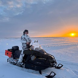 �������, �������, 46 ���