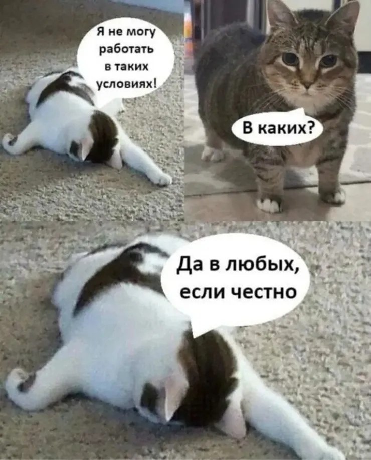 ������, ���������? �������� ����� �� ��������� �����. �� ���� ��� ������, ��� ��� ������ ���� ...