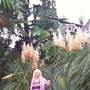 ���� ����, �����-���������, 47 ��� - ��������� 9 ������� 2025