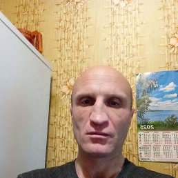 , 40, 