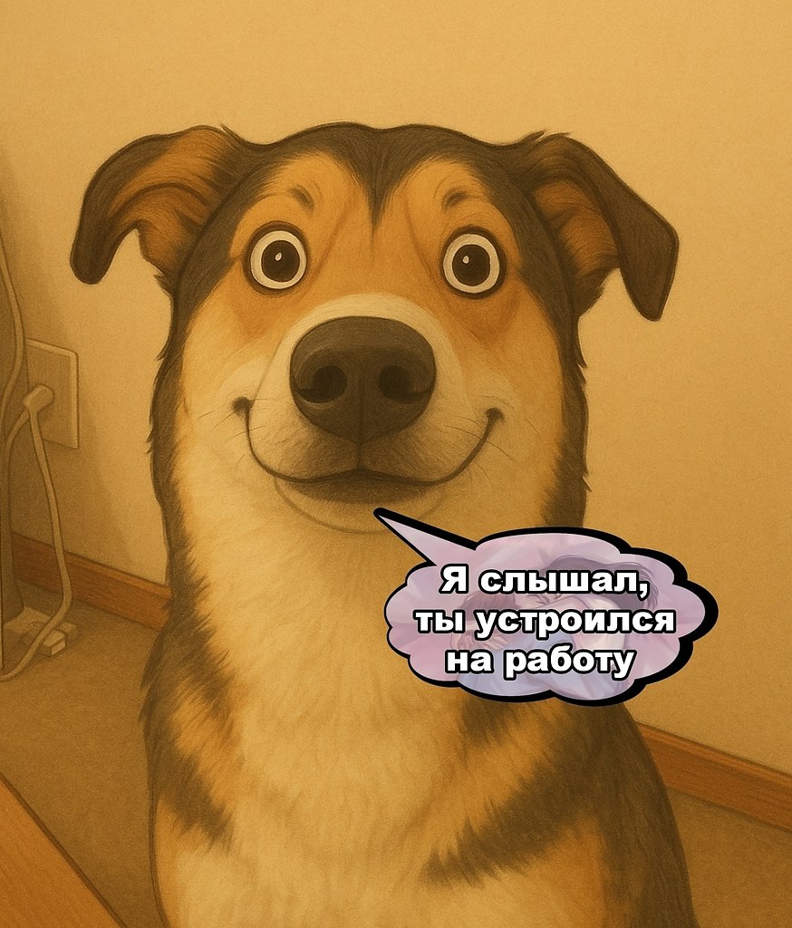   -  ,  -  - 25  2025  19:33