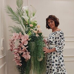 , 61, 