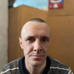 , 41 , 