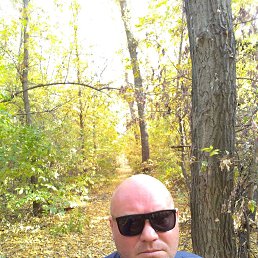, 42, 