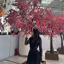 �����, ������, 20 ���