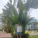 ���� �����, ���������, 57 ��� - ��������� 1 ������ 2025 � ������ ���� ����������