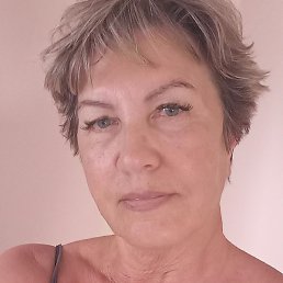 �����, ���������, 66 ���