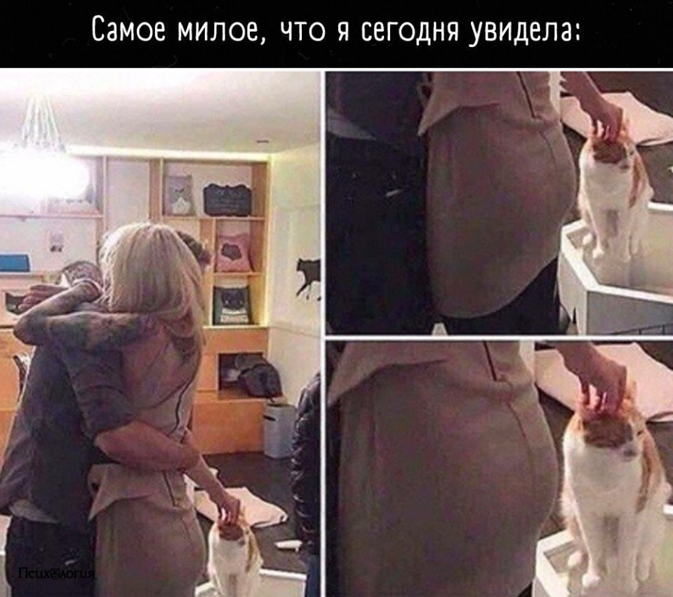     !